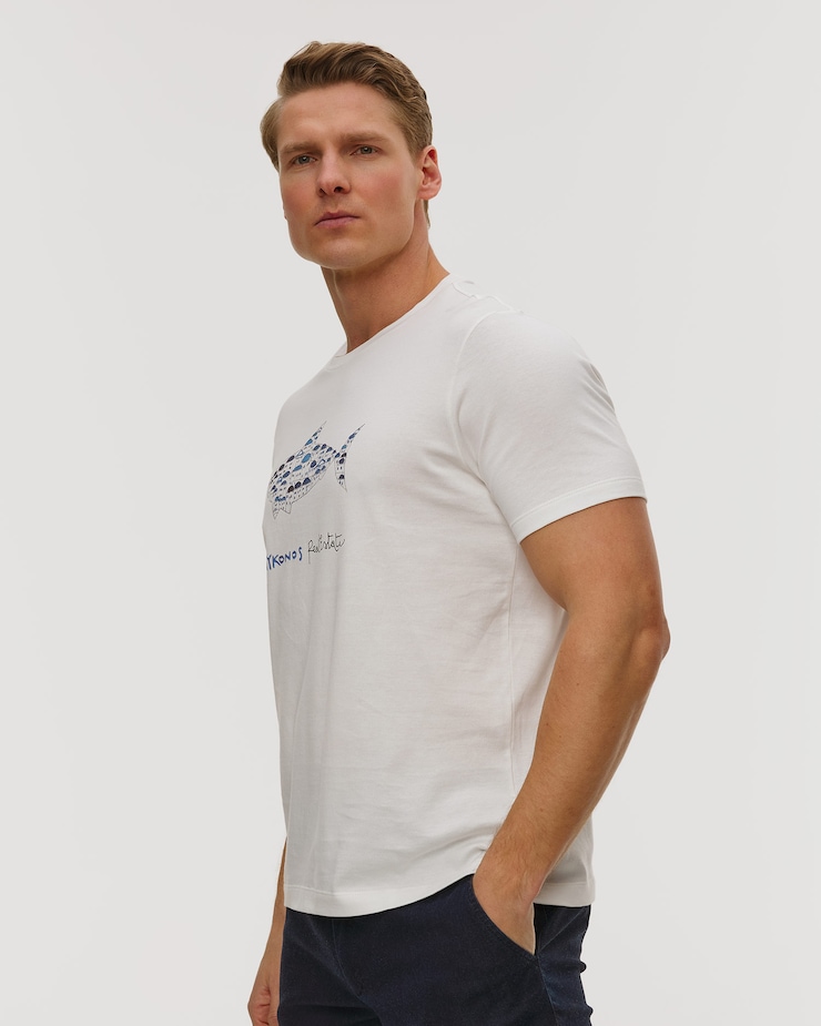 T-shirt męski Paul&Shark