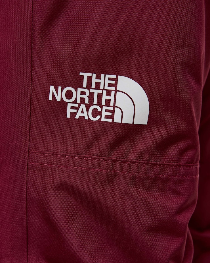 Kids ski trousers The North Face Freedom Insulated Pant red